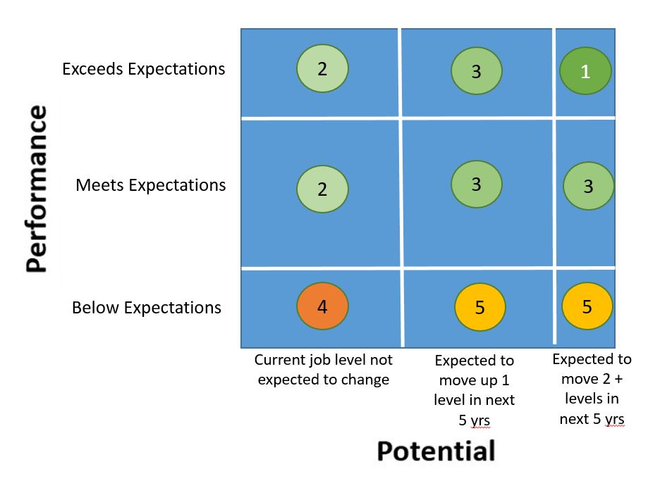 performance vs potential legend